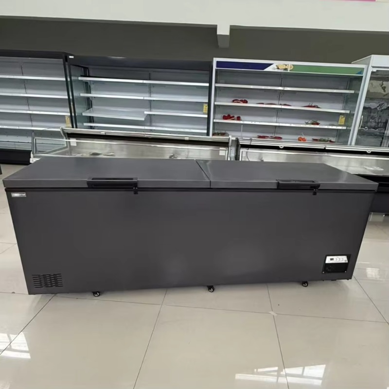 業務用ダブルドア式水平型大型冷凍庫。家庭用およびスーパーマー - Commercial Chest Freezer のレビューと価格